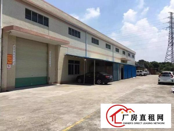 
		石排新出独门独院单一层钢构厂房
	