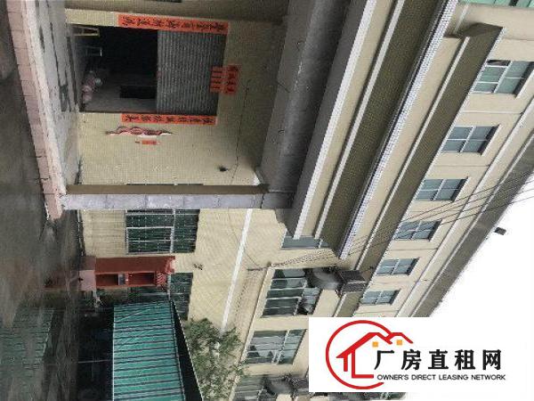 
		原房东原房东原房东独院厂房出租
	