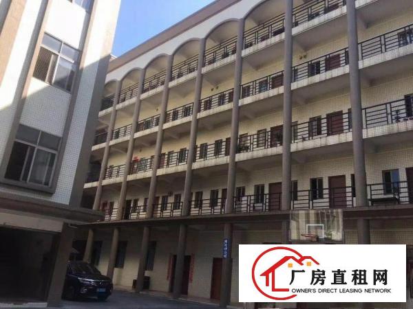 
		石排茶山企石3百3万平方大小独院厂房出租
	