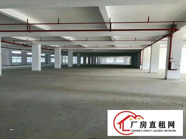 
		全新独门独院标准厂房招租
	