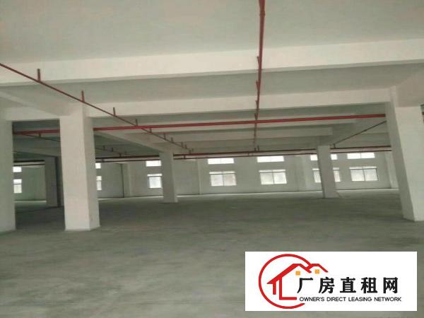 
		全新独门独院标准厂房招租
	
