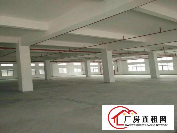 
		全新独门独院标准厂房招租
	
