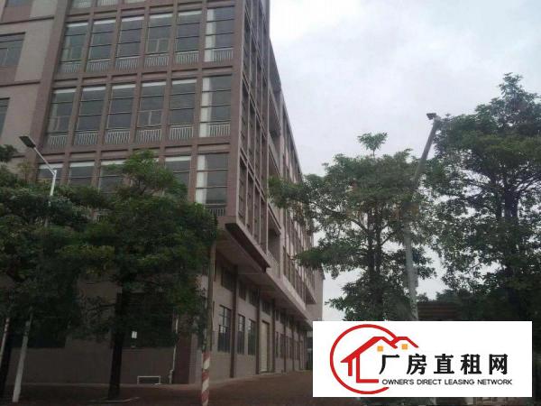 
		石排镇国有红本全新厂房招租
	