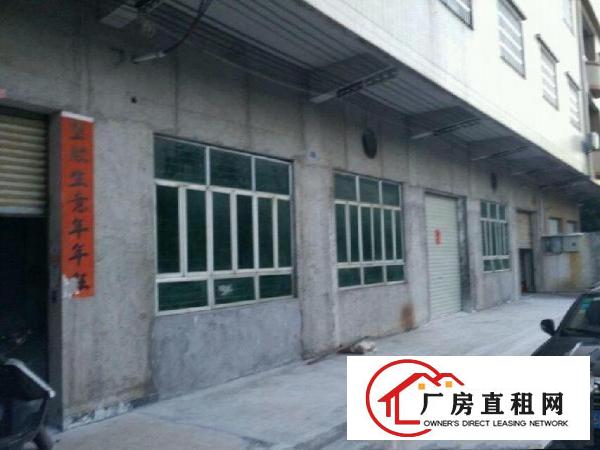 
		石排谷吓带行车一楼450平方出租
	
