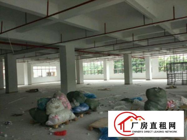 
		石排独院厂房出租2200平方
	