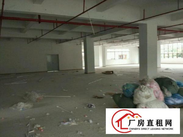 
		石排独院厂房出租2200平方
	