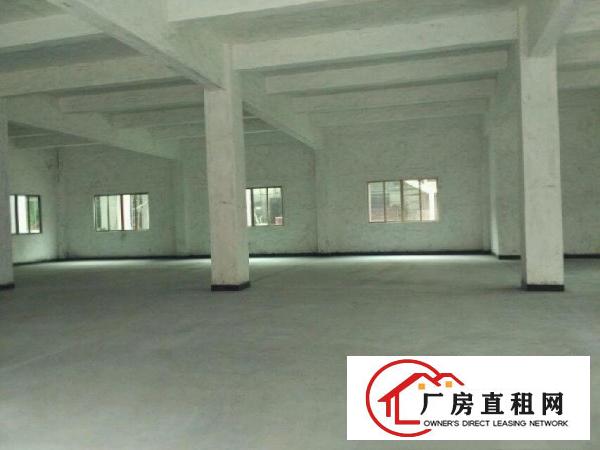
		石排小独院出租1200平方
	