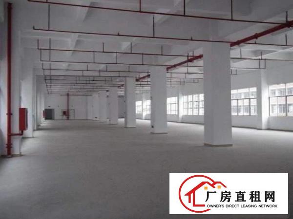 
		石排镇工业区新空出原房东标准4800平方厂房出租，
	