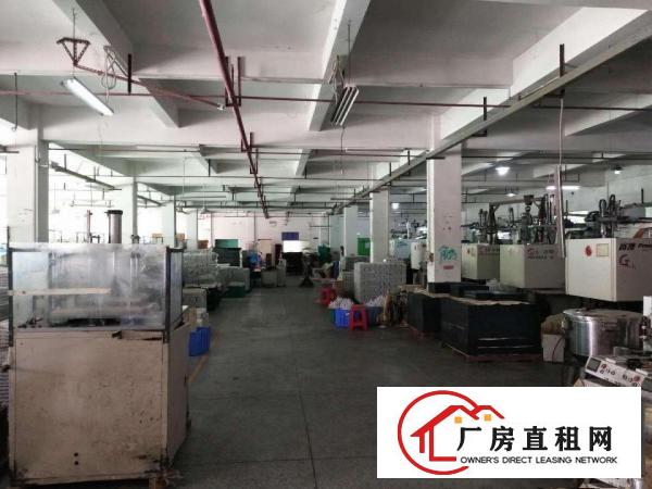 
		石排镇工业区新空出原房东一楼1900平方厂房出租，
	