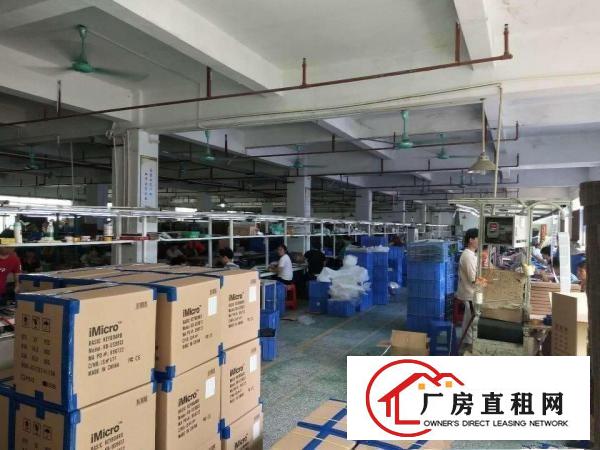 
		石排镇工业区新空出原房东一楼1900平方厂房出租，
	