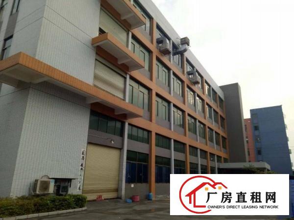 
		石排新出标准厂房一楼1800平方米火爆招租
	
