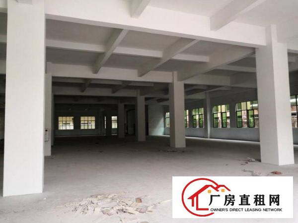 
		石排新出标准厂房一楼1800平方米火爆招租
	