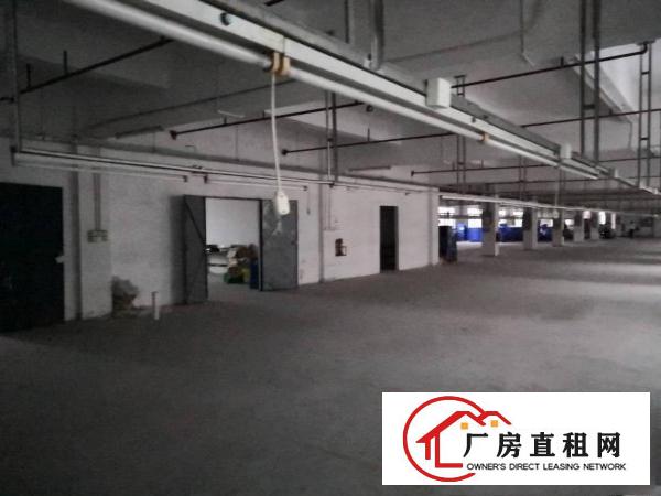 
		独院标准厂房出租二楼1100平方米，价格实惠
	