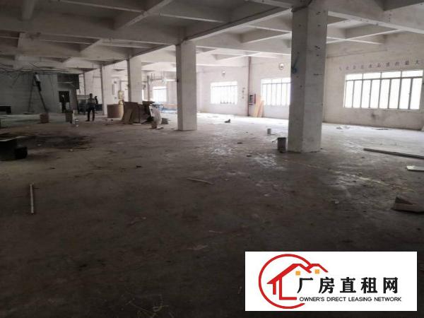 
		新出工业区九成新厂房一楼1800平方米招租
	