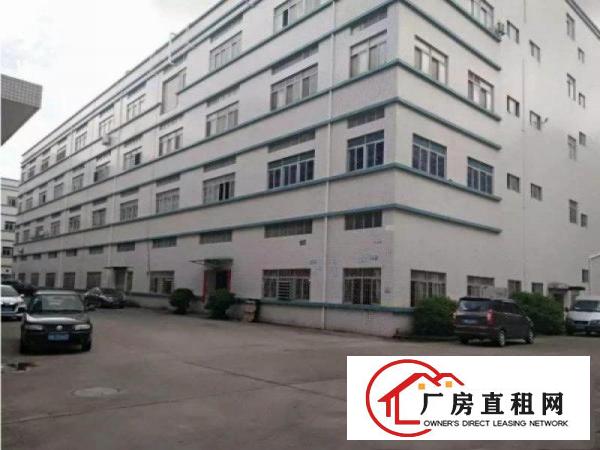 
		石排新出楼上800平方带装修水电齐全带货梯
	