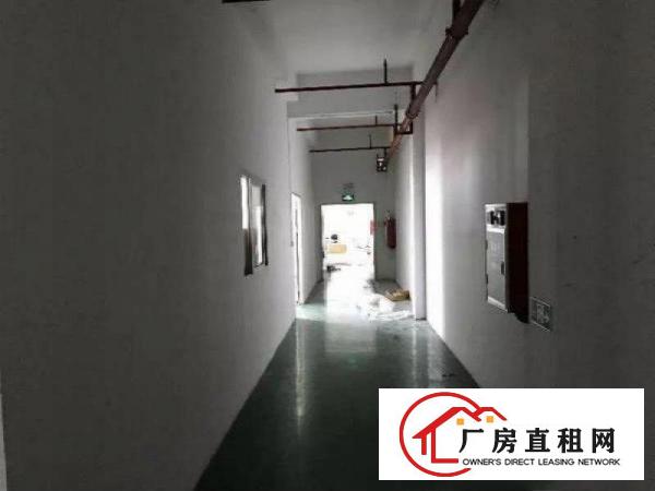 
		石排下沙楼上厂房550平米精装修带2吨电梯
	