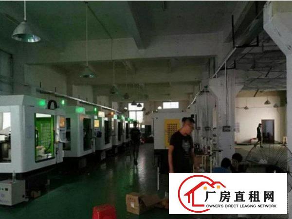 
		石排太和标准一楼厂房600平方带牛角地坪漆出租
	