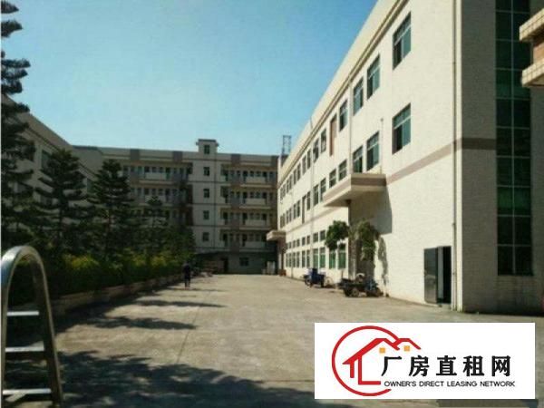 
		石排太和标准一楼厂房600平方带牛角地坪漆出租
	