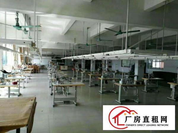
		石排镇(铺心村)独院9000平方出租可整租分租
	