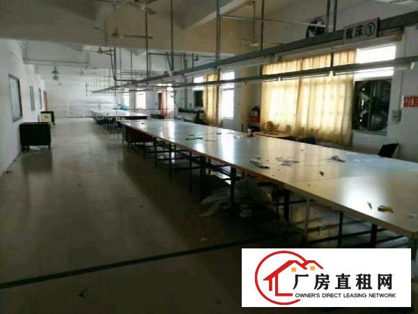 
		石排埔心独院厂房分租(二楼2000)平方
	