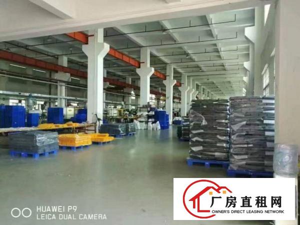 
		石排镇独院单一层厂房(两万平方)出租可整租分租
	