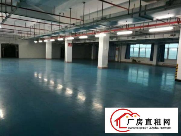 
		石排镇(埔心村)独院厂房9000平方出租
	