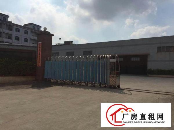 
		石排新出大型单一层厂房2000平方出租
	