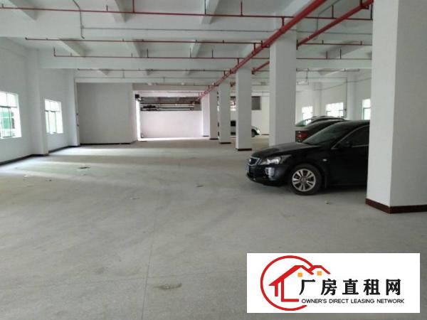 
		园洲全新标准厂房2180整层，带消防喷淋配套齐全
	