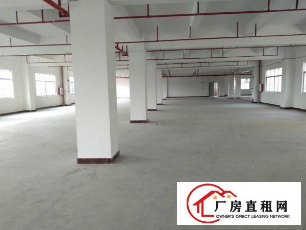 
		园洲全新标准厂房2180整层，带消防喷淋配套齐全
	