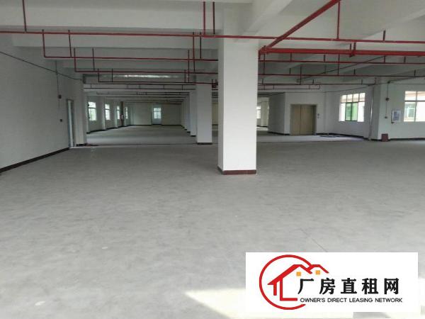 
		园洲全新标准厂房2180整层，带消防喷淋配套齐全
	