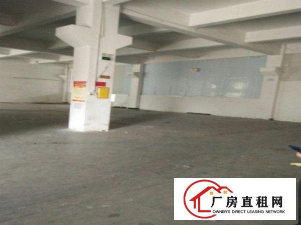 
		孙屋工业区带牛角一楼1500平厂房招租
	