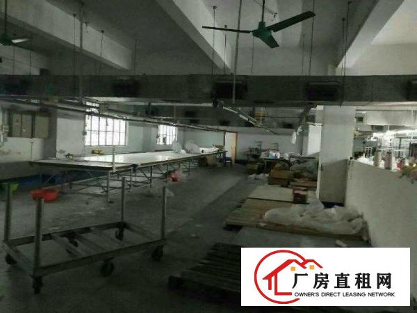
		房东分租茶山厂房三楼800平方7000元
	