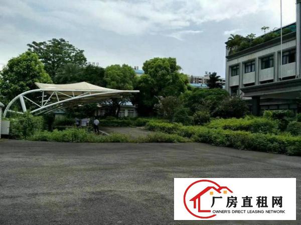 
		石龙一楼3000平方，可分租
	