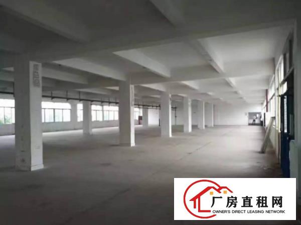 
		冲美工业区标准一楼厂房1650平方，空地大
	