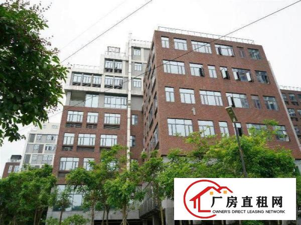 
		一线大路边、近公交站、番禺石楼800方办公楼出租
	