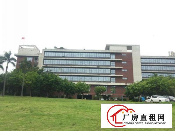 
		一线大路边、近公交站、番禺石楼800方办公楼出租
	