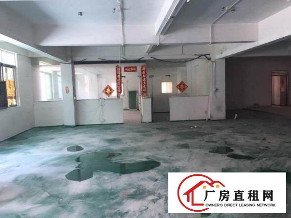 
		老城区西湖厂房800平米
	