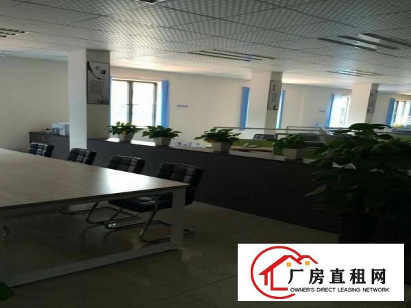 
		石碣独院工业园一楼4800高度12米
	