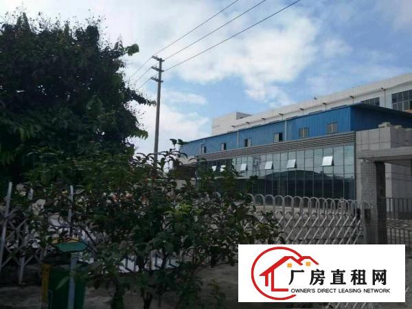 
		石碣工业园一楼3500平方！高度12米
	