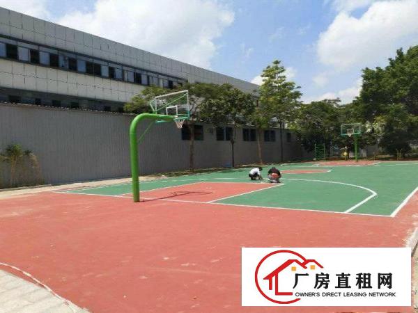 
		实图石碣产业园花园独栋厂房4888平米现成装修
	