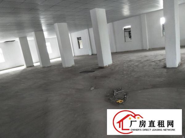 
		房东石碣刘屋沙路厂房招租，1200平方精装修
	