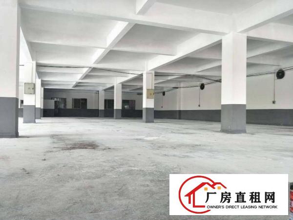 
		石碣桔州村厂房一楼1000平方（空地大）
	