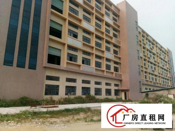 
		石碣高新产业园53800方可分租(刚建的厂房)
	