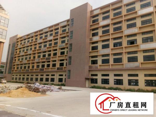 
		石碣高新产业园53800方可分租(刚建的厂房)
	
