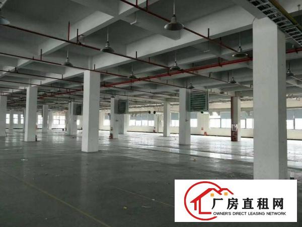 
		石碣桔州厂房三楼2600平方（现成装修空地大）
	