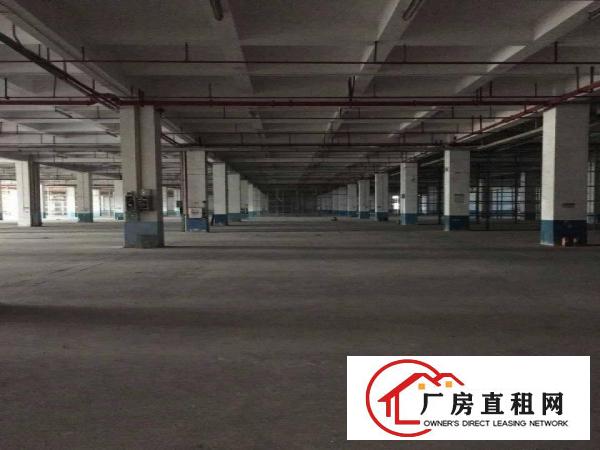 
		石碣单屋厂房一楼7800方（带卸货平台可分租）
	