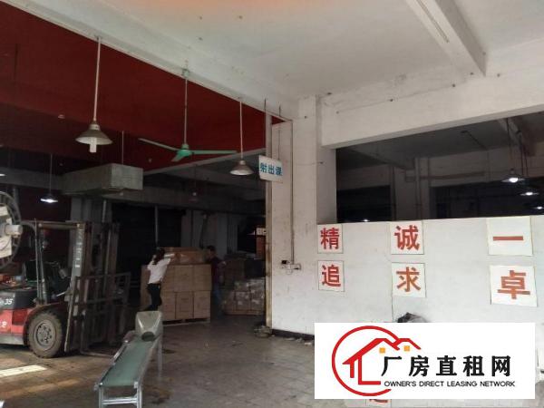 
		石碣西南村厂房一楼1300平方（宜工宜商）
	