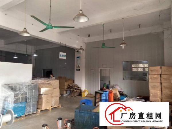 
		石碣西南村厂房一楼1300平方（宜工宜商）
	