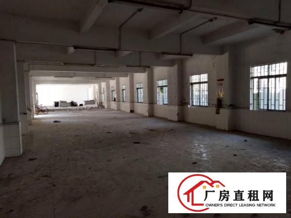 
		石碣桔州厂房一楼800平方（空地大好招工）
	