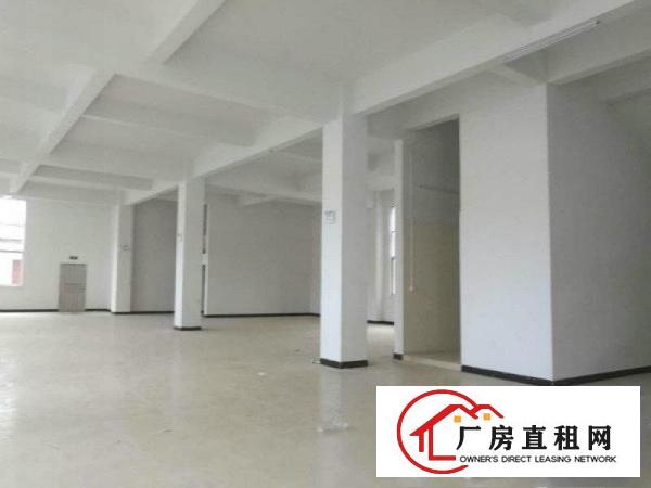 
		石碣桔洲标准厂房分租一楼500平方火热招租！
	